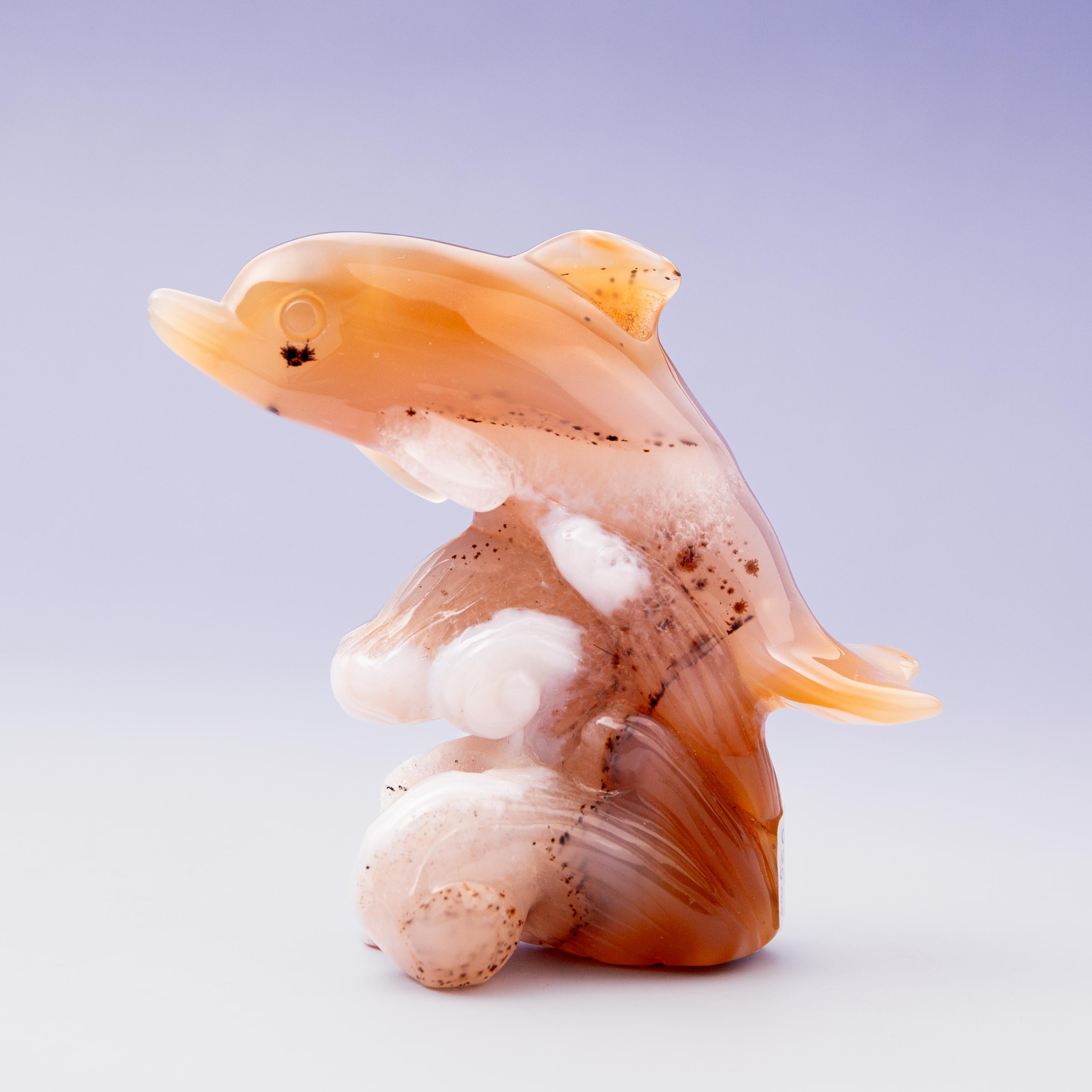 Agate Dolphin - B