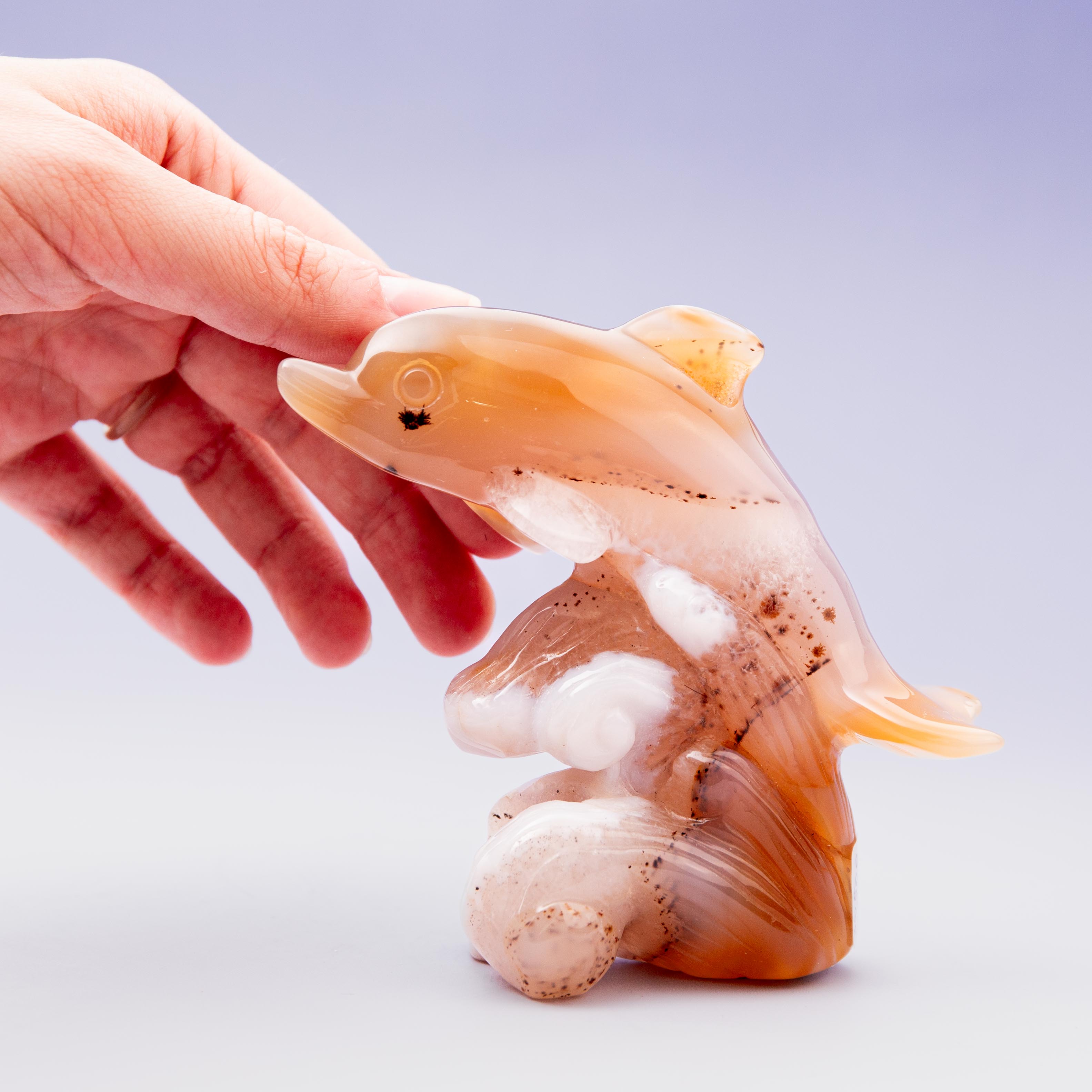 Agate Dolphin - B