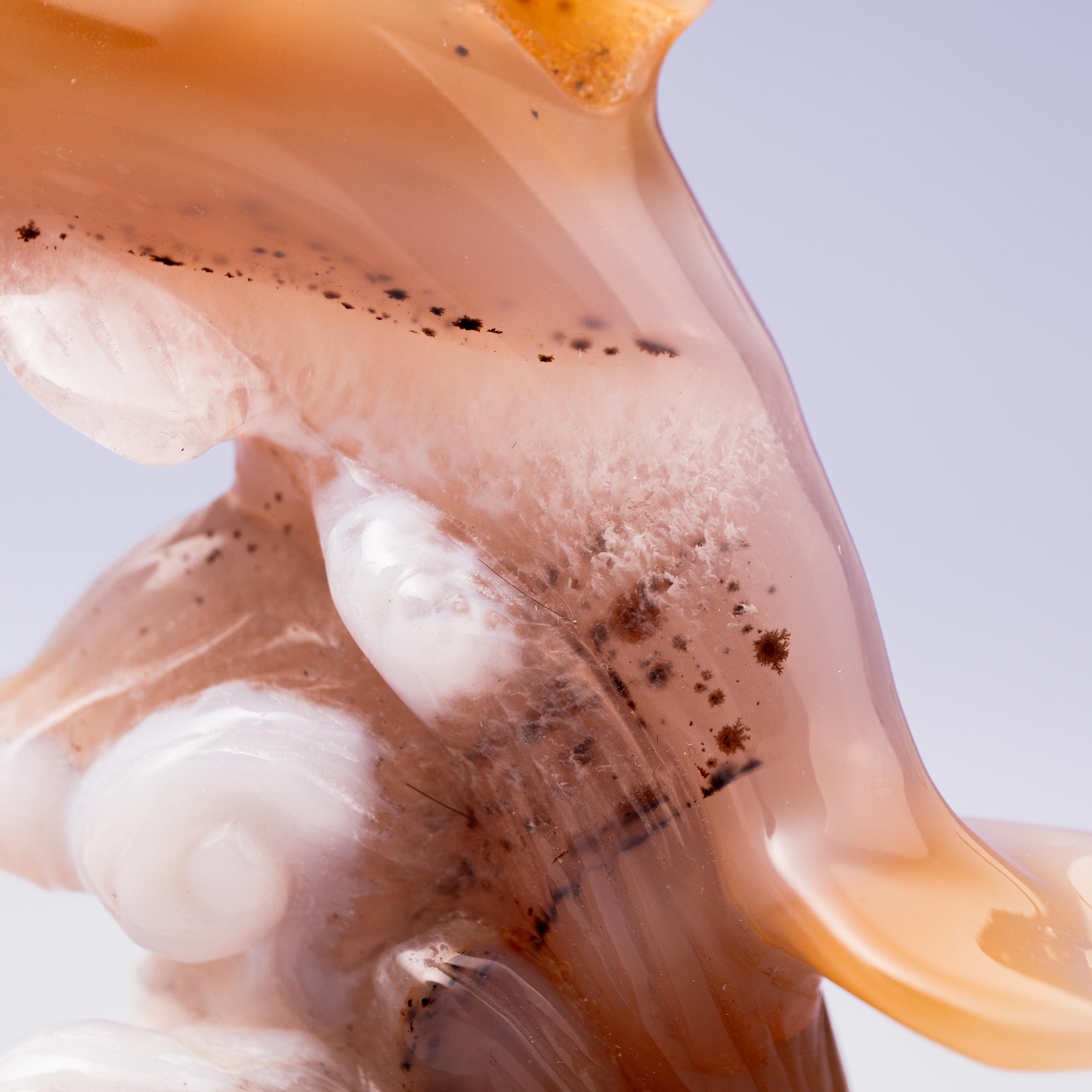 Agate Dolphin - B