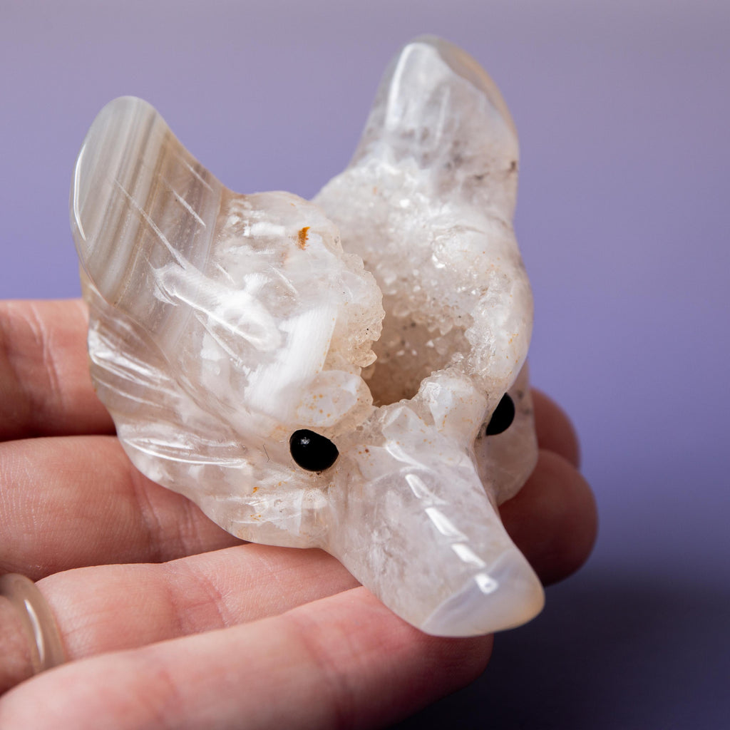 Agate Wolf Head - A
