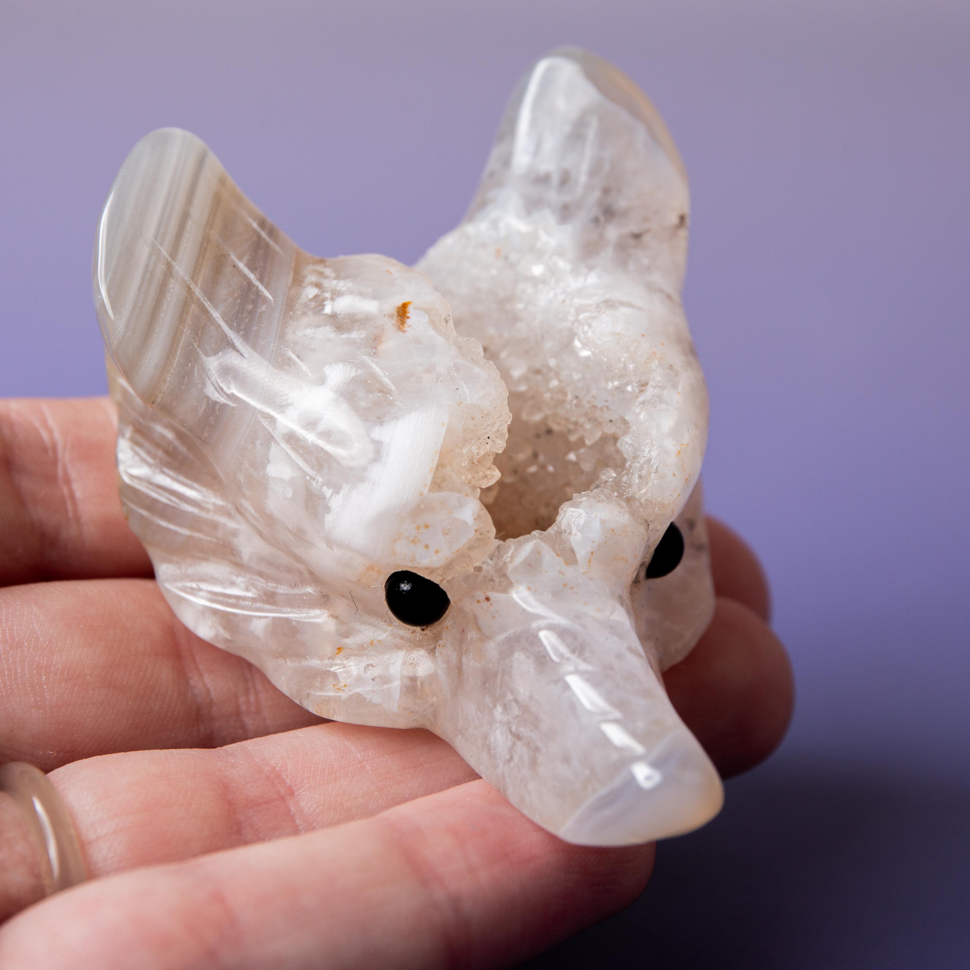 Agate Wolf Head - A