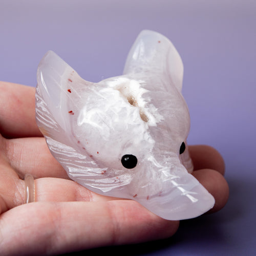 Agate Wolf Head - 6-7cm B