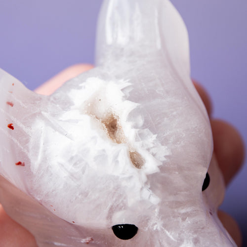 Agate Wolf Head - 6-7cm B