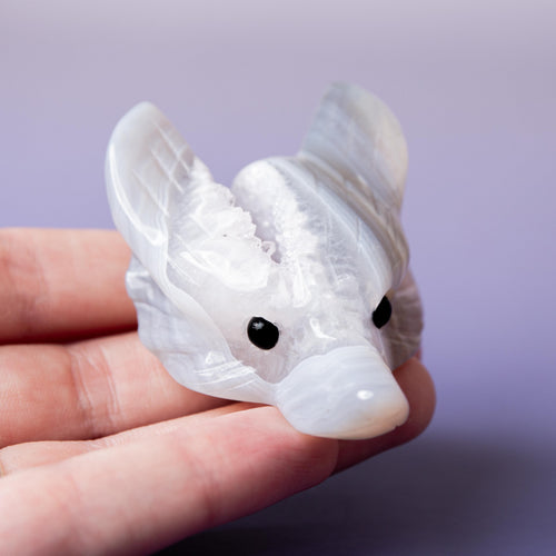 Agate Wolf Head - 6-7cm C