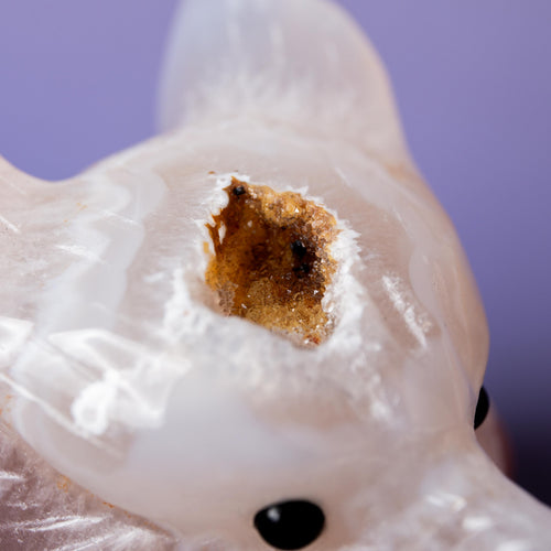 Agate Wolf Head - 6-7cm E
