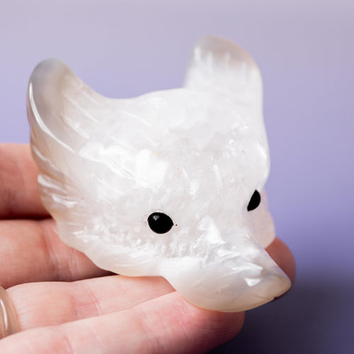 Agate Wolf Head - 6-7cm F