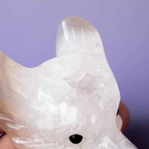 Agate Wolf Head - 6-7cm F