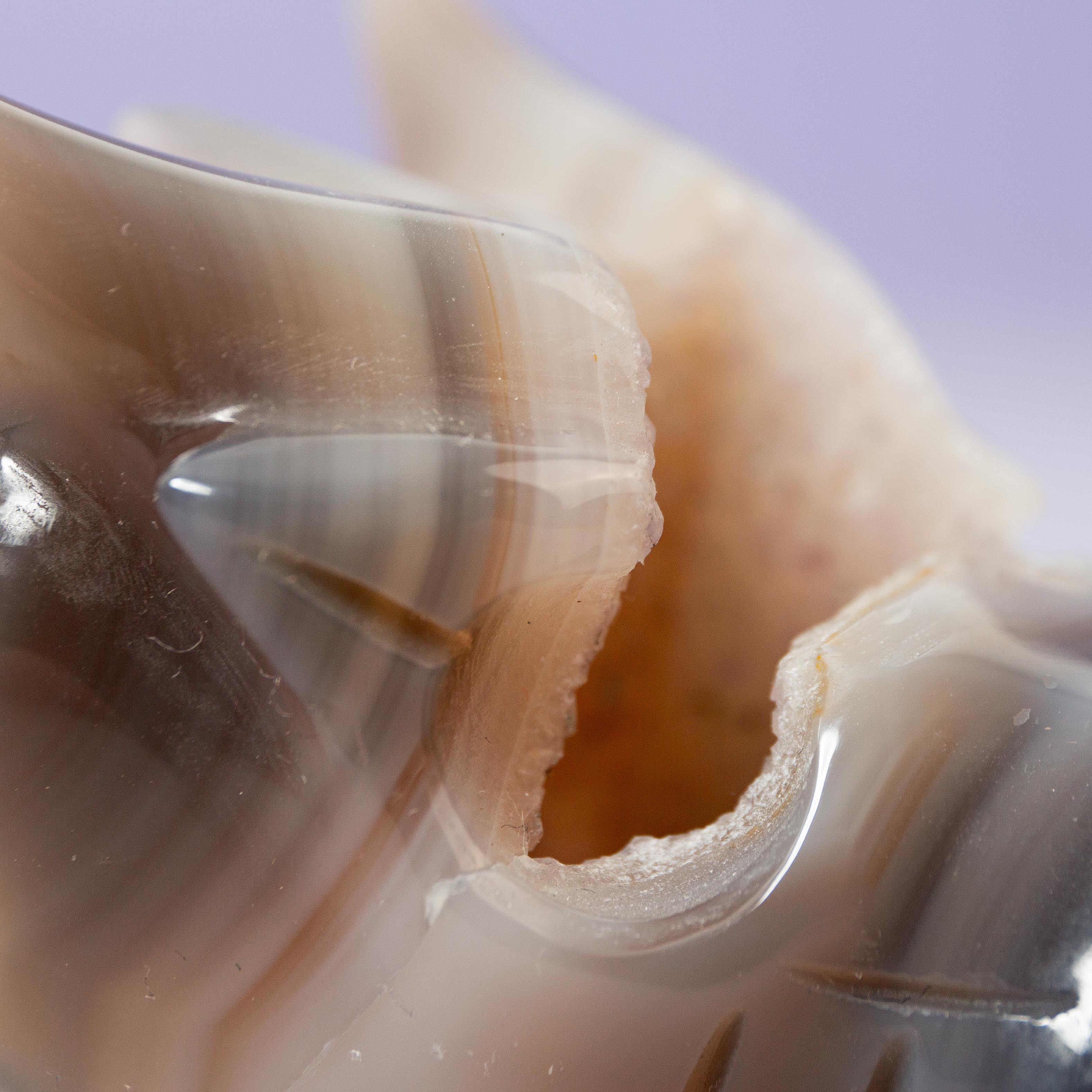 Agate Dragon - A14
