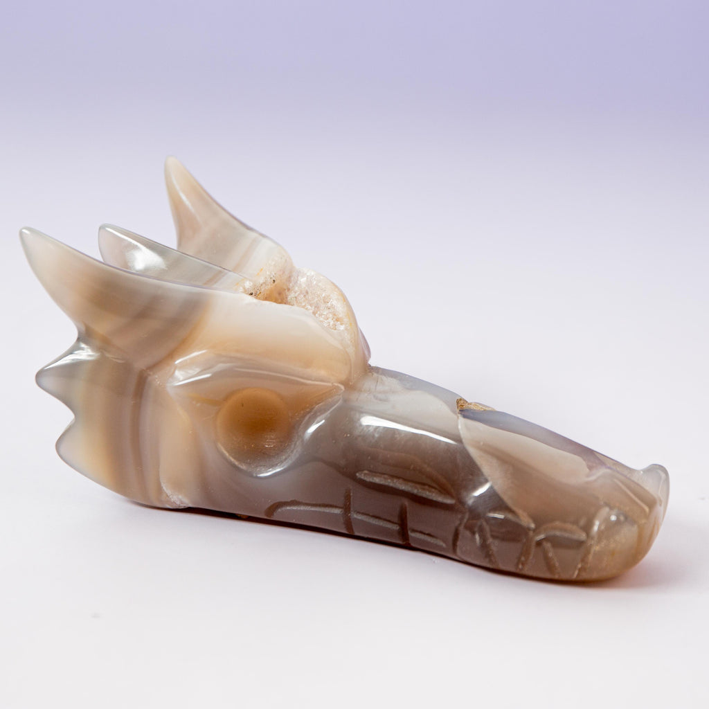 Agate Dragon - A15