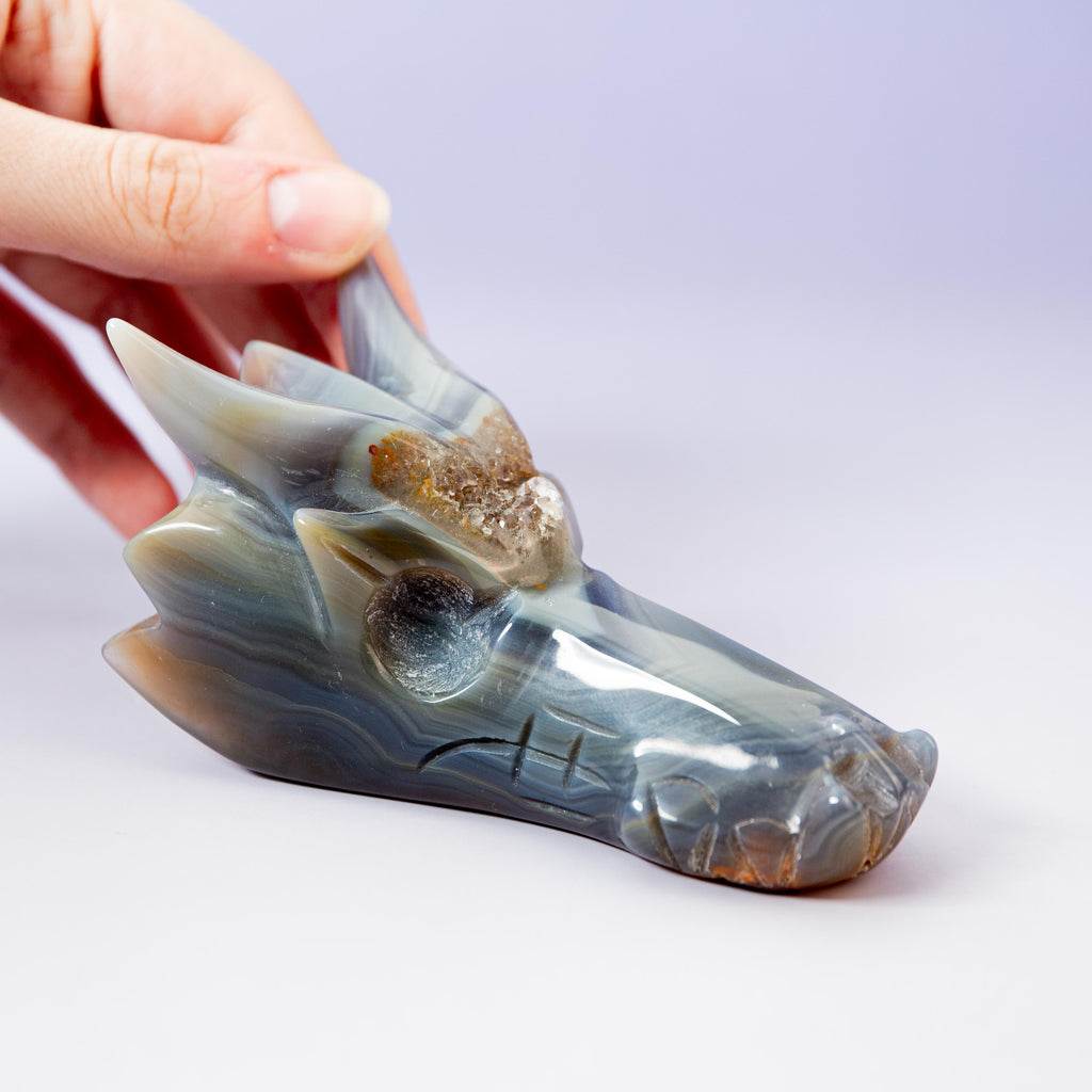 Agate Dragon - A16