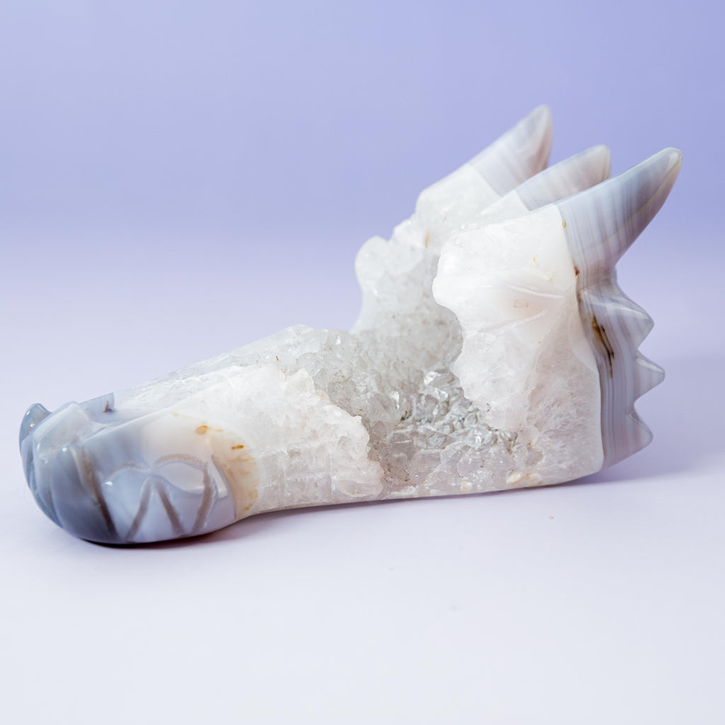 Agate Dragon - A23