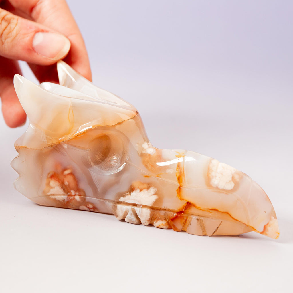 Agate Sakura Dragon - A24