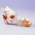 Agate Sakura Dragon - A2