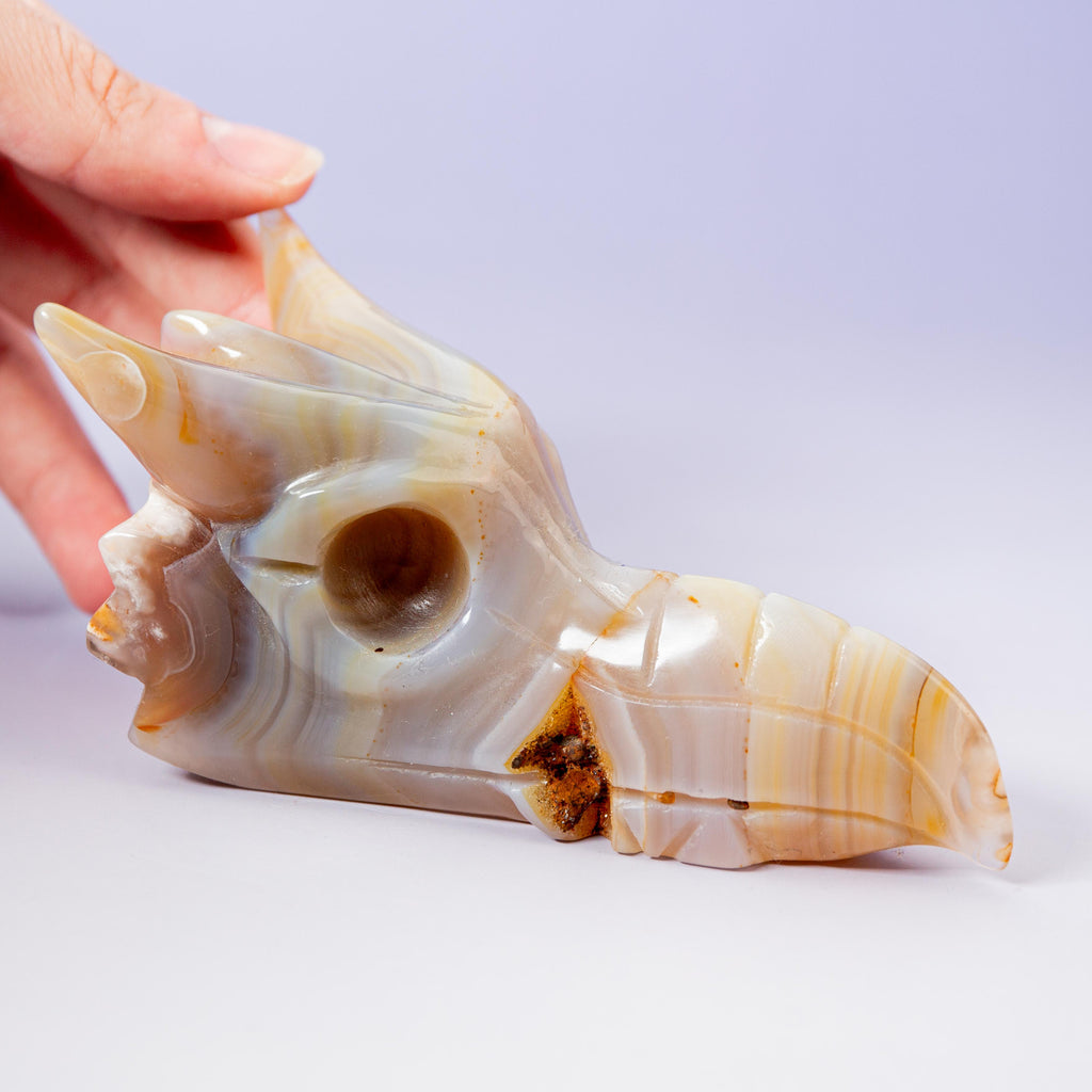 Agate Sakura Dragon - A6
