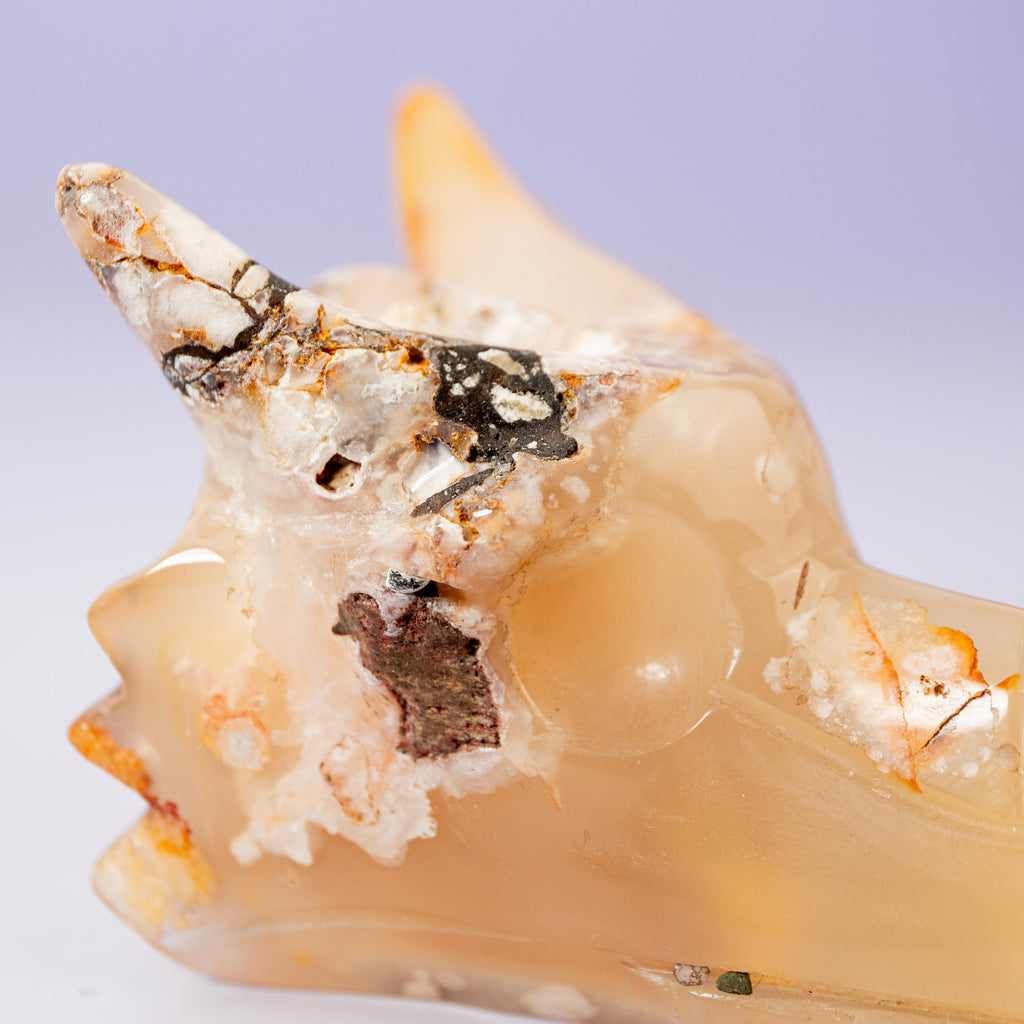 Agate Sakura Dragon - A7