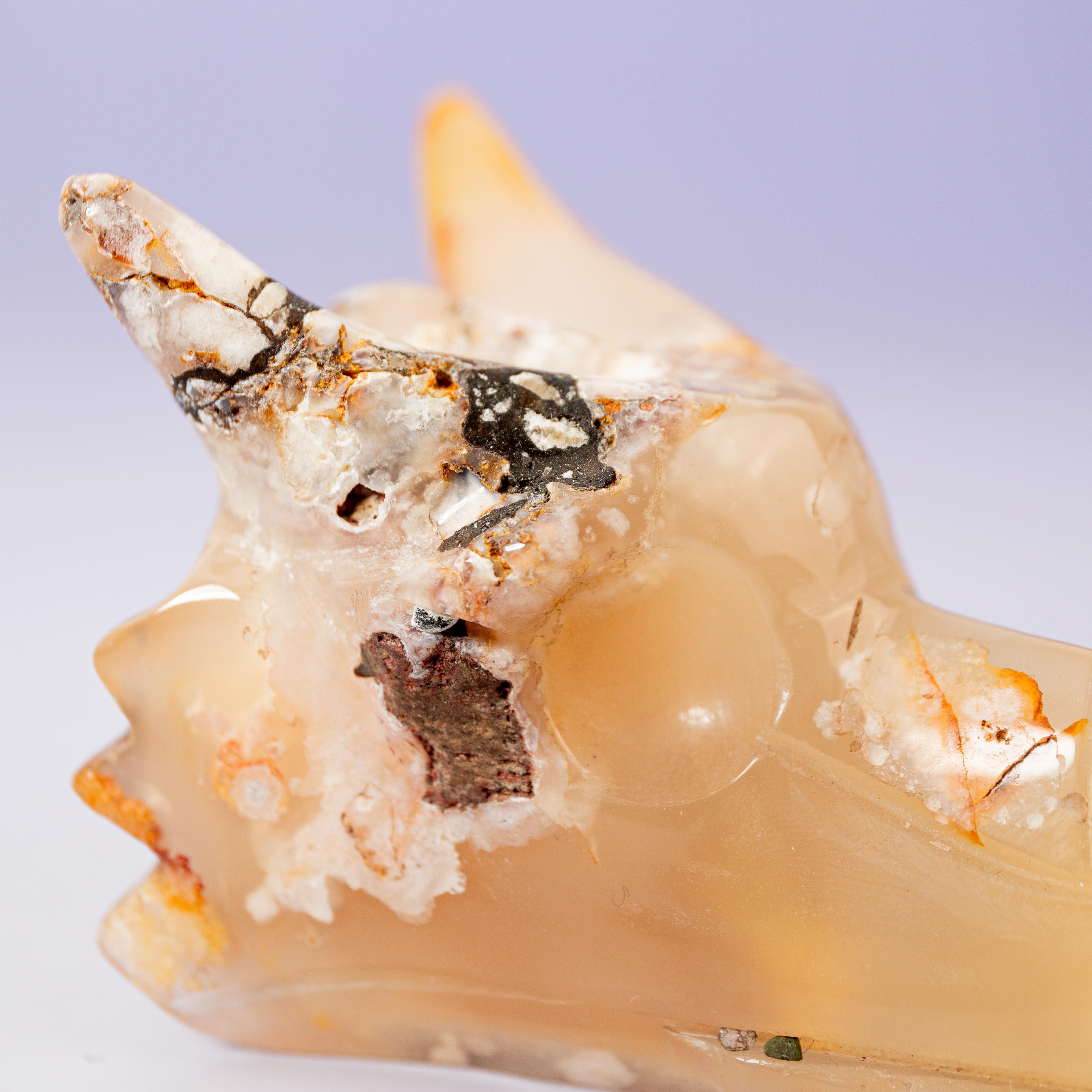 Agate Sakura Dragon - A7