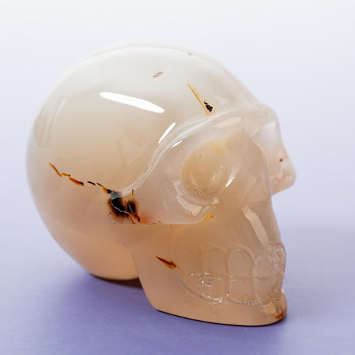 Agate Sakura Skull - A11