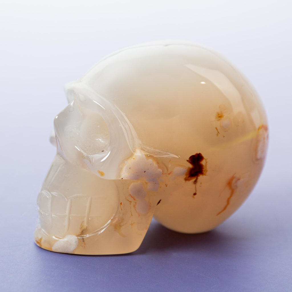 Agate Sakura Skull - A11