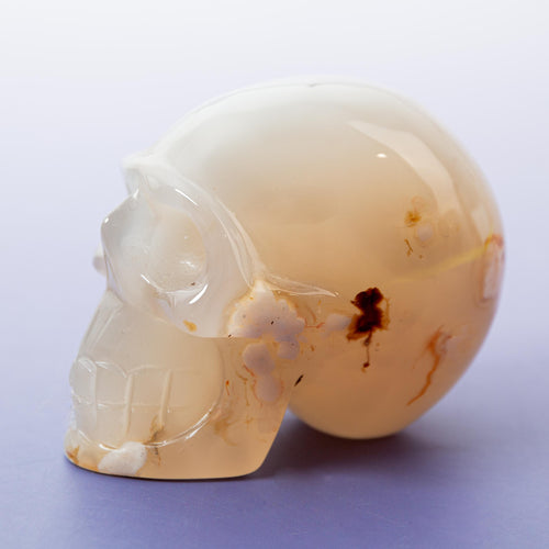 Agate Sakura Skull - A11