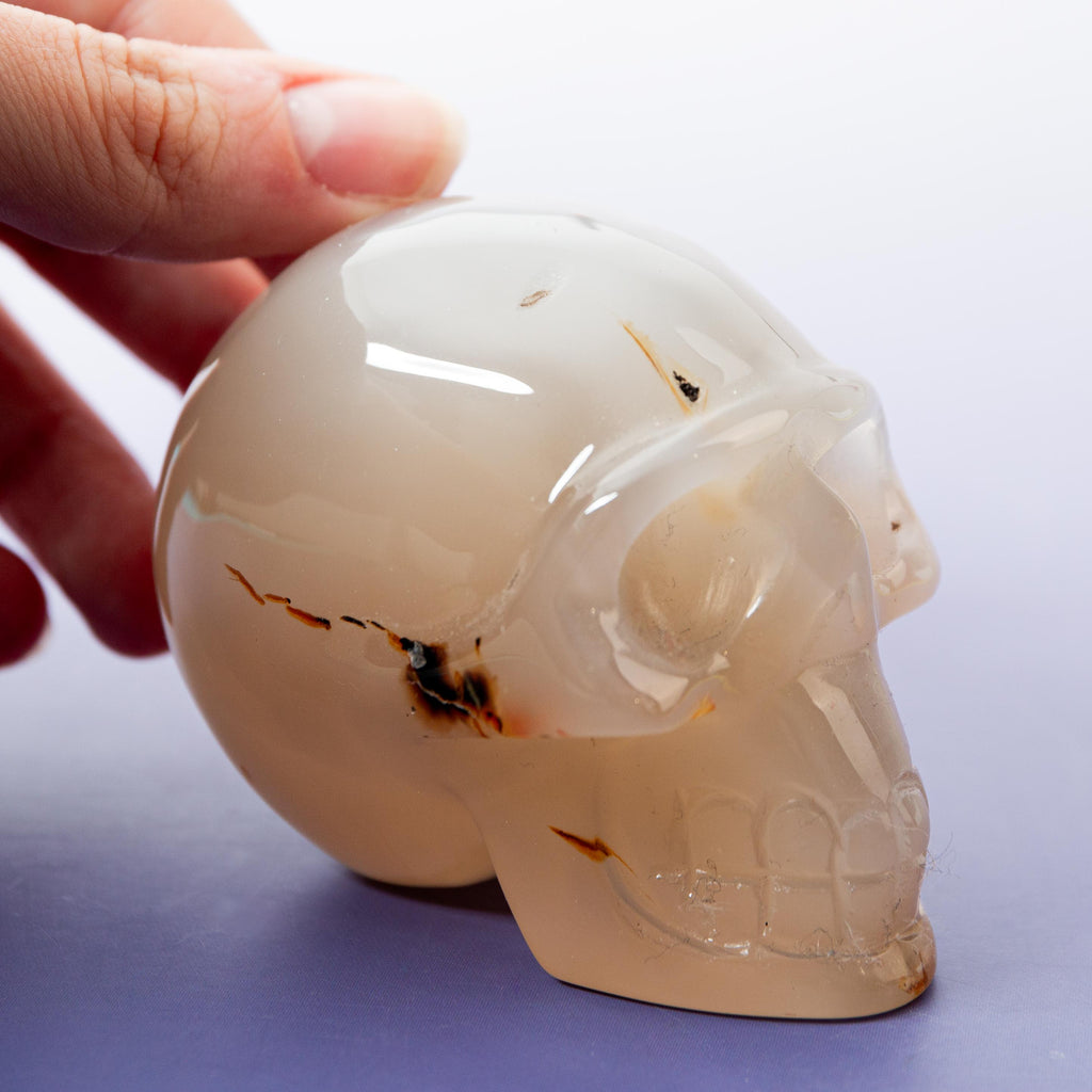 Agate Sakura Skull - A11