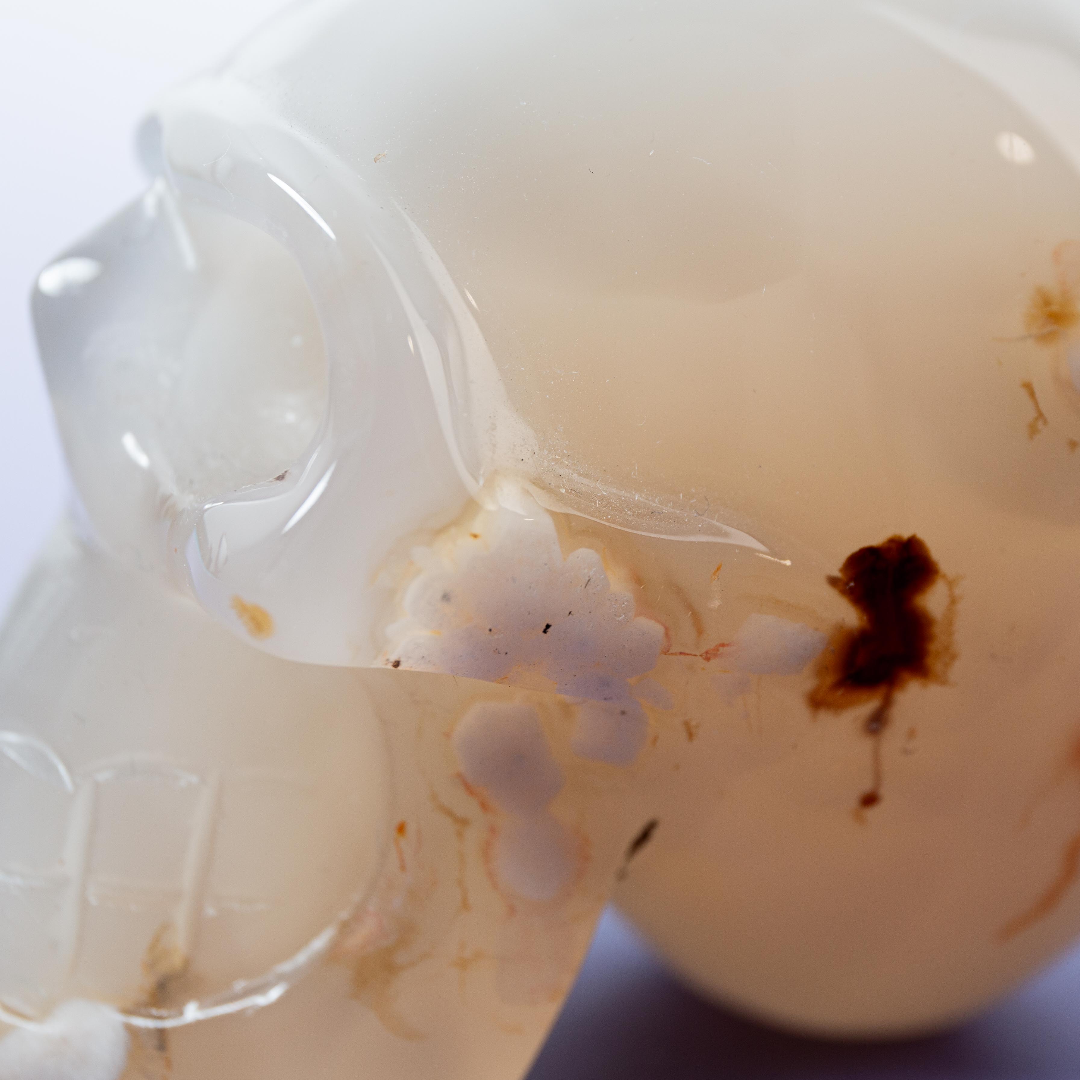 Agate Sakura Skull - A11