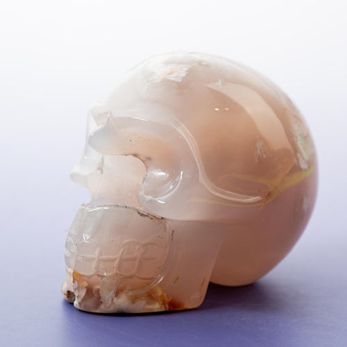 Agate Sakura Skull - A14