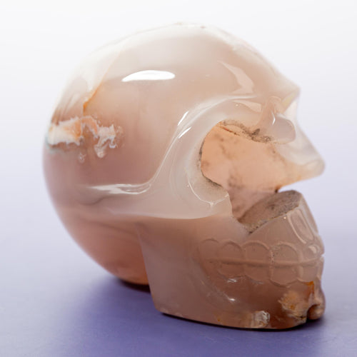 Agate Sakura Skull - A14