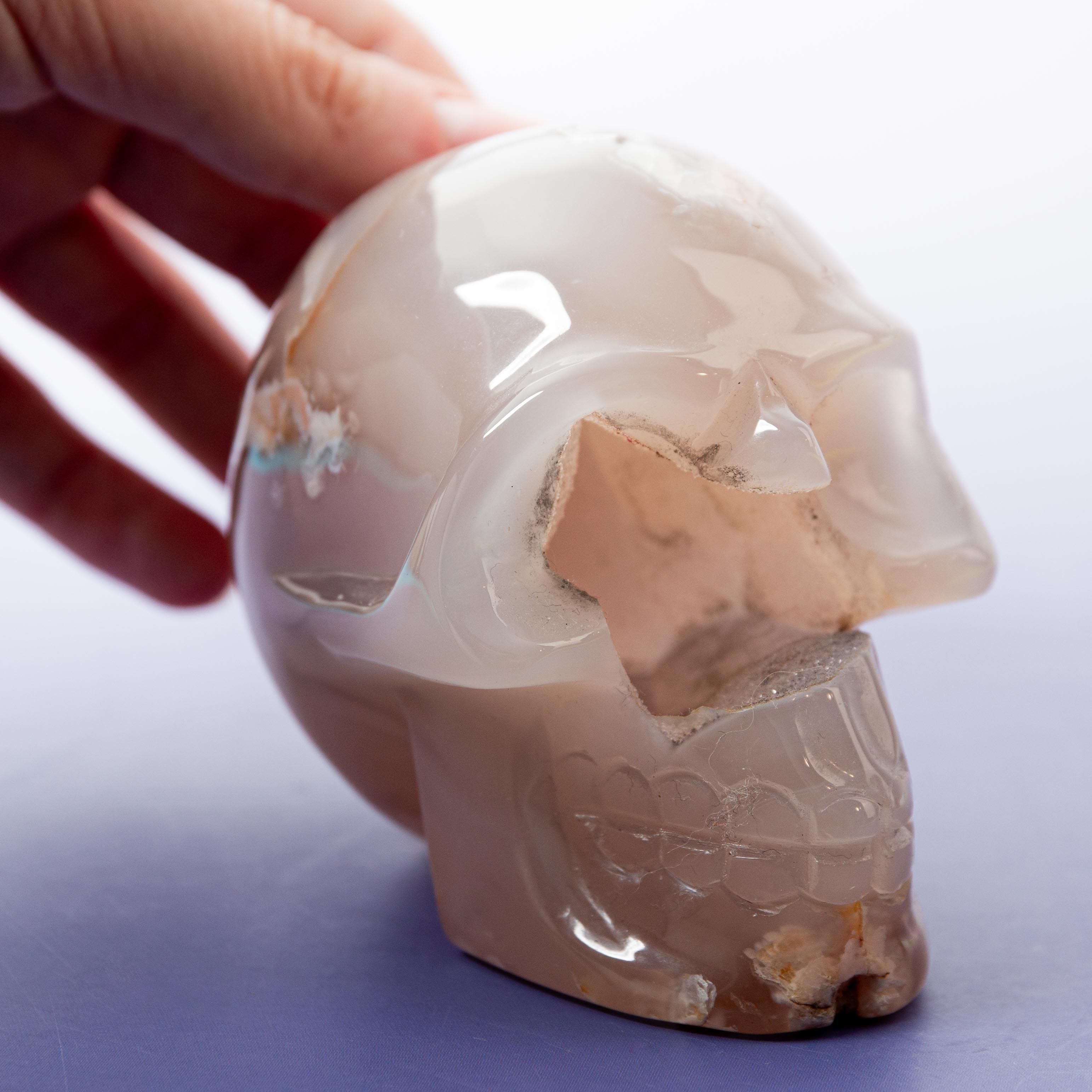 Agate Sakura Skull - A14