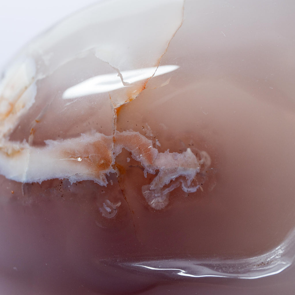 Agate Sakura Skull - A14