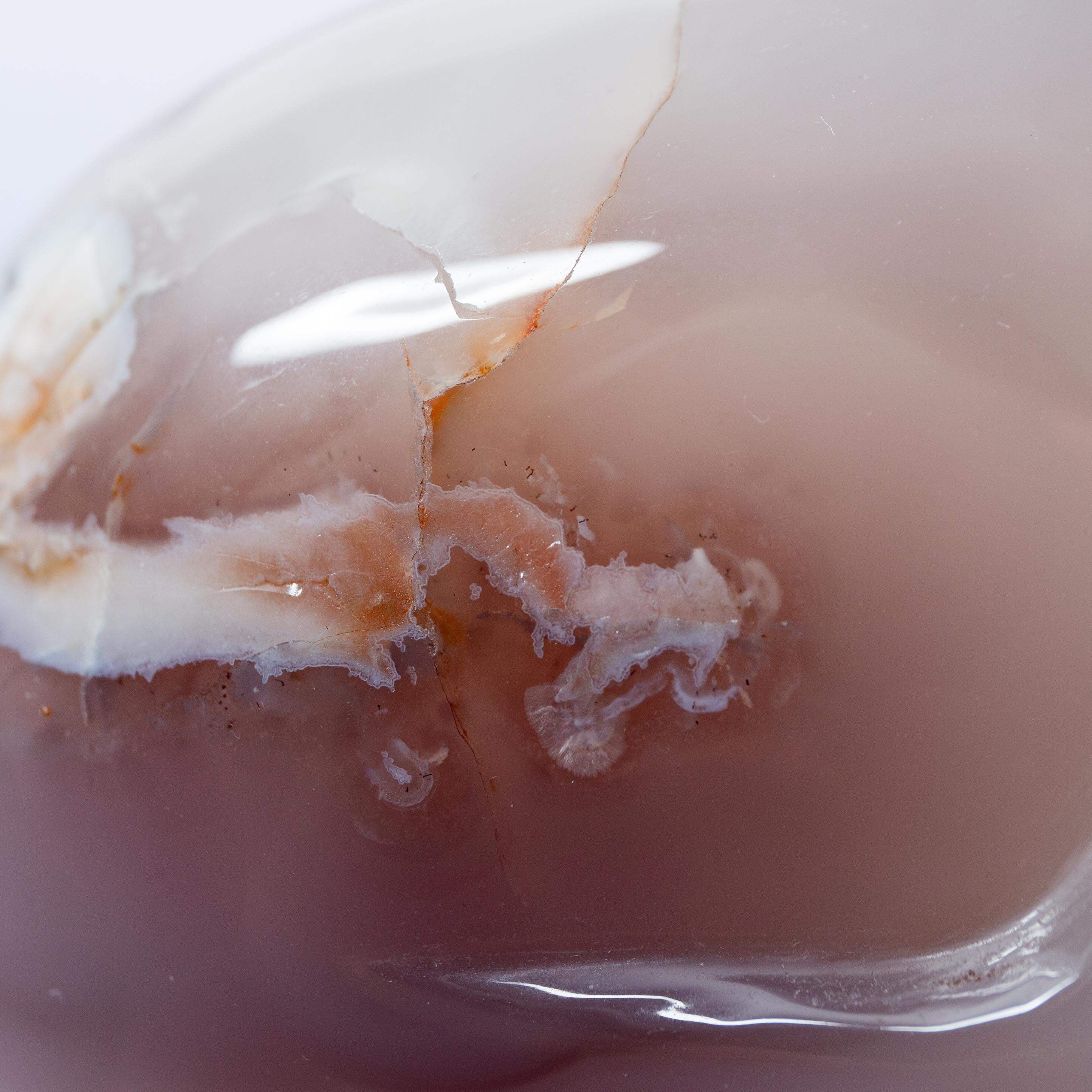 Agate Sakura Skull - A14