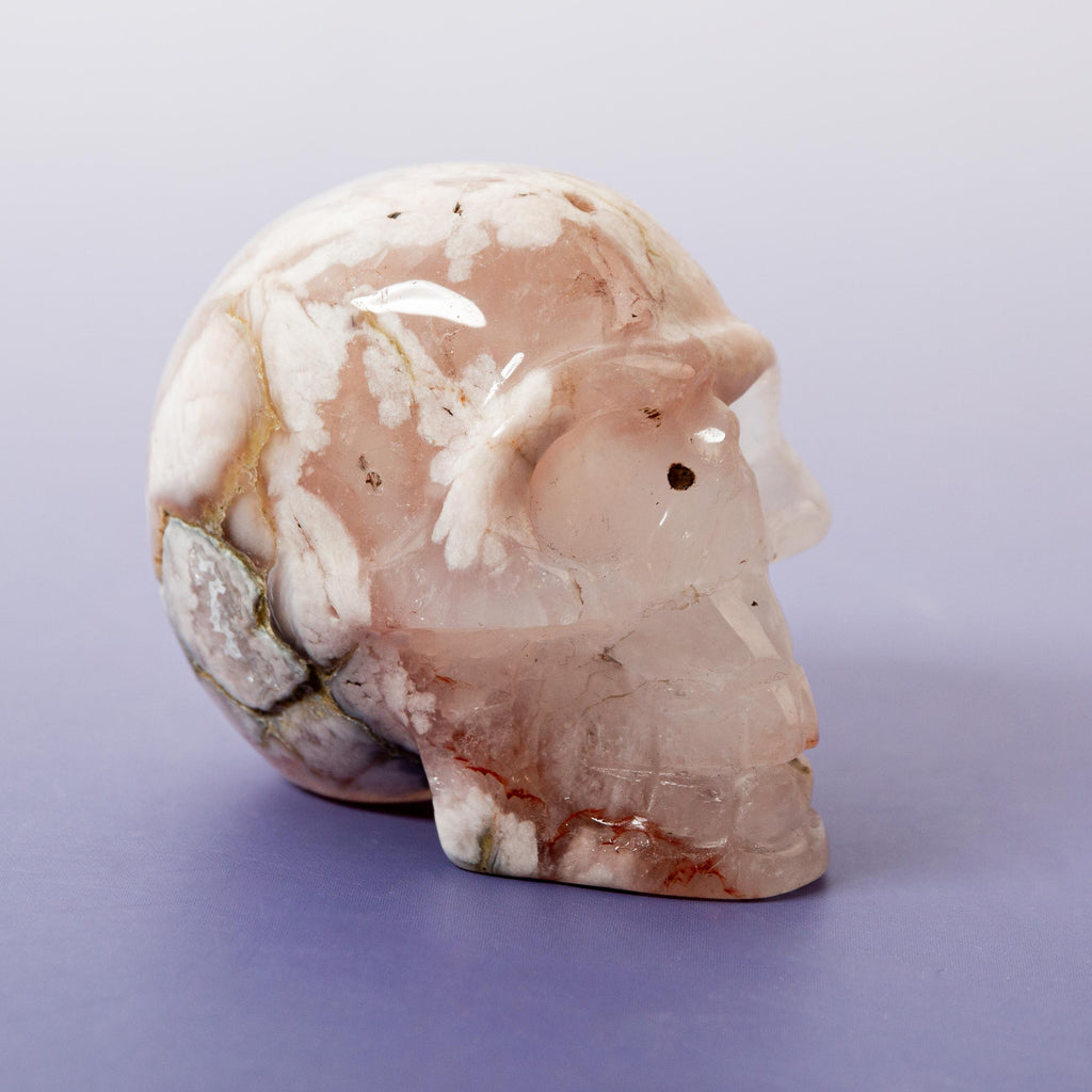 Agate Sakura Skull - A3