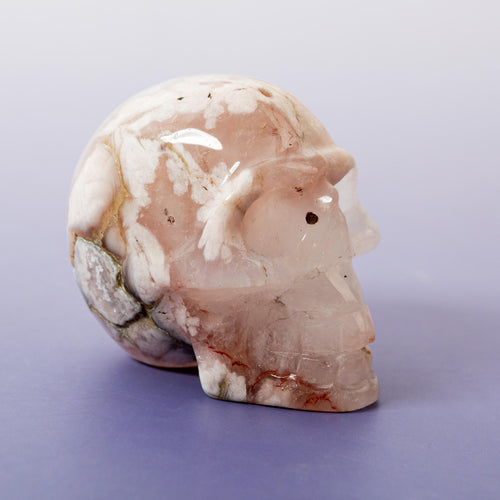 Agate Sakura Skull - A3
