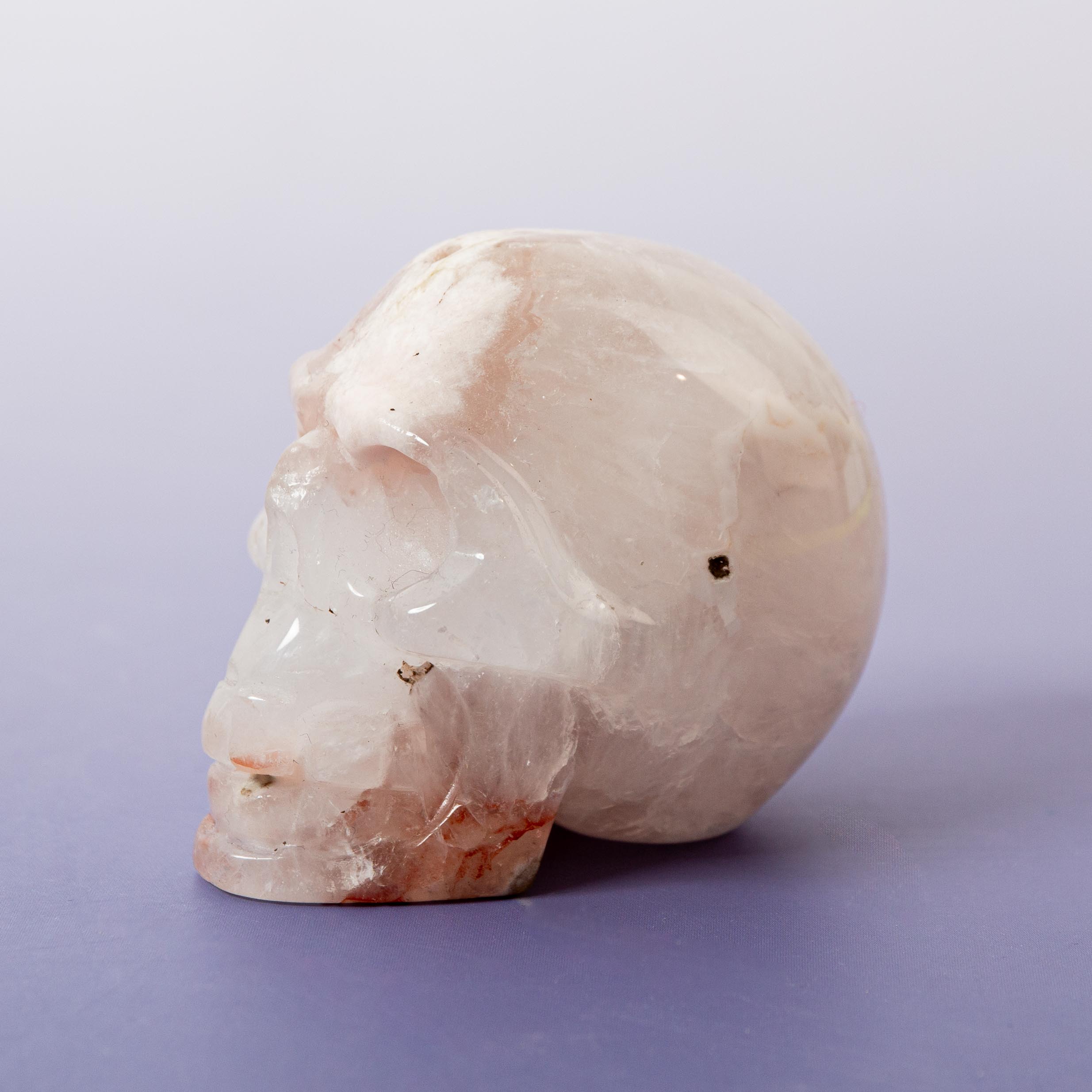 Agate Sakura Skull - A3