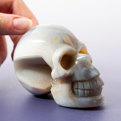 Agate Skull - A4