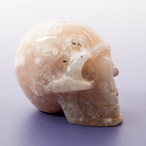 Agate Sakura Skull - A5
