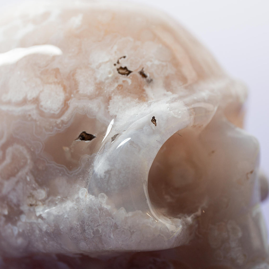 Agate Sakura Skull - A5