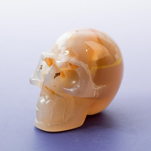Agate Sakura Skull - A6