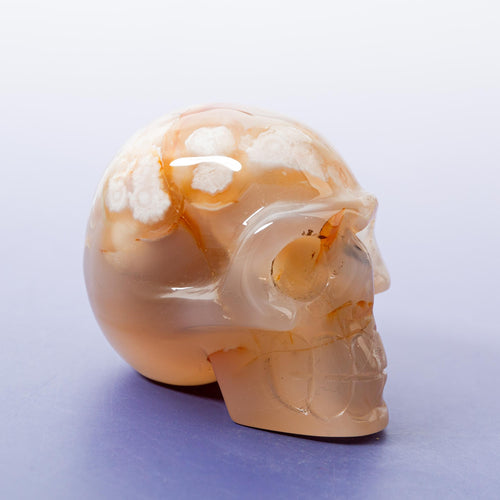 Agate Sakura Skull - A6