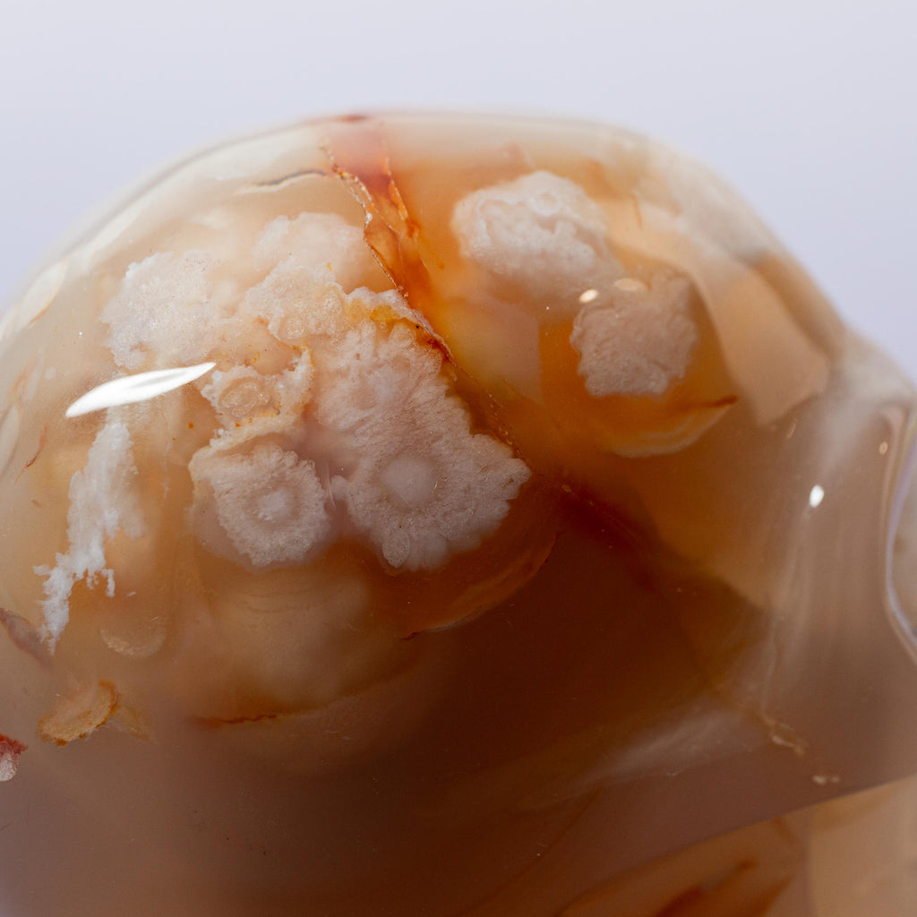 Agate Sakura Skull - A6