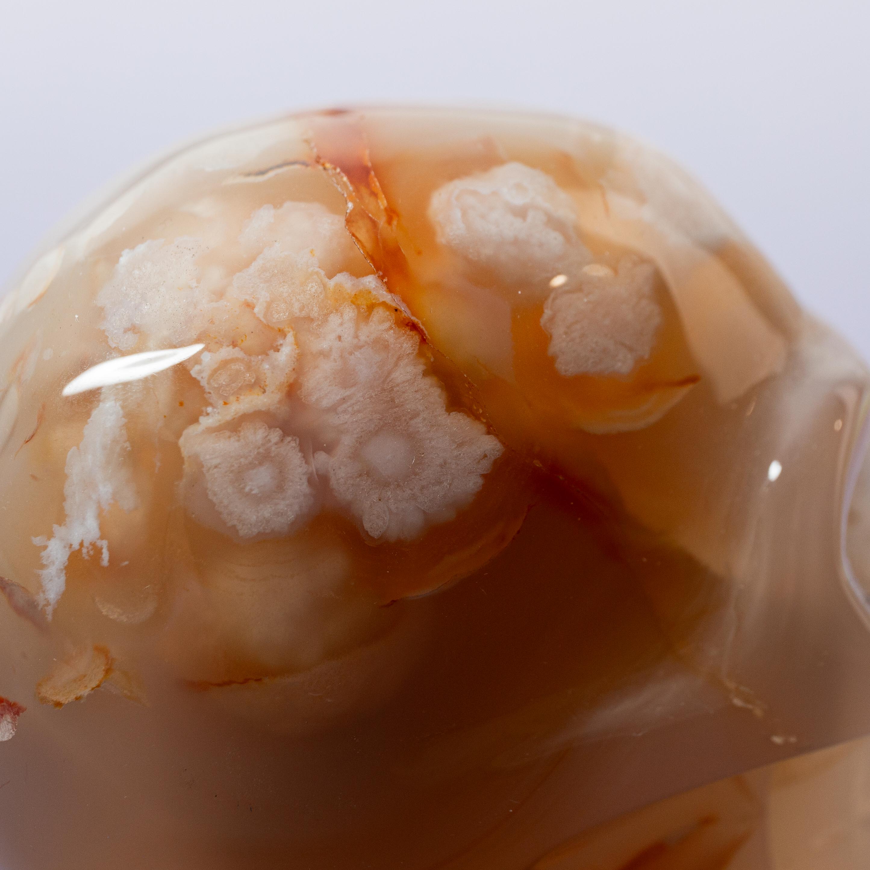 Agate Sakura Skull - A6