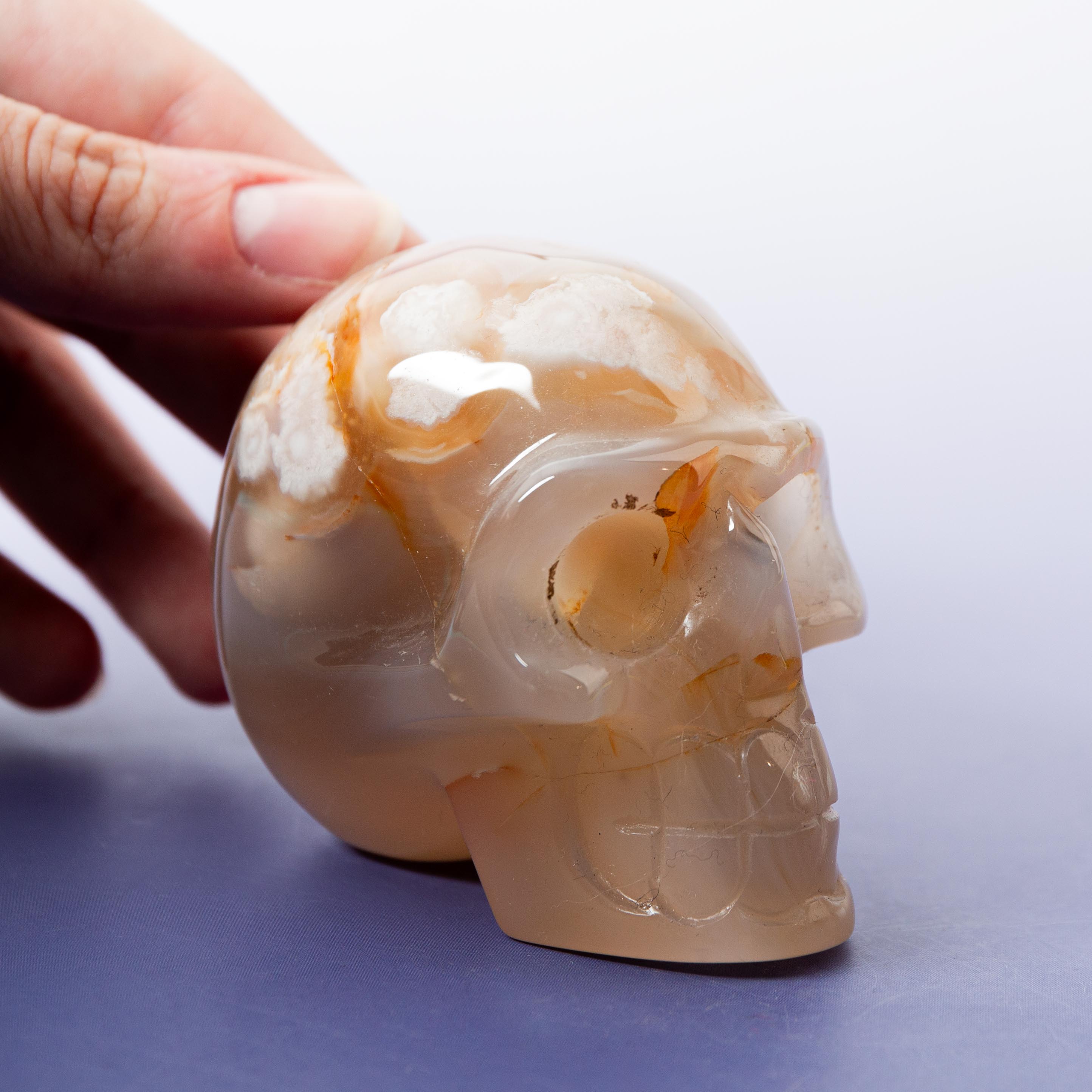 Agate Sakura Skull - A6