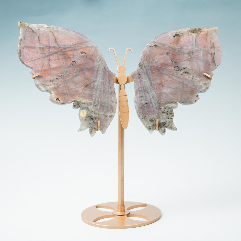 Labradorite Butterfly - 25cm/20cm/583g