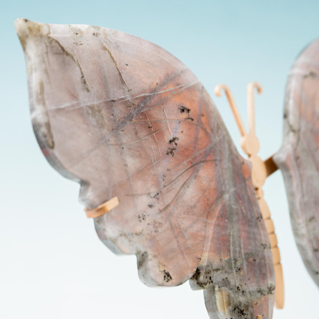 Labradorite Butterfly - 25cm/20cm/583g