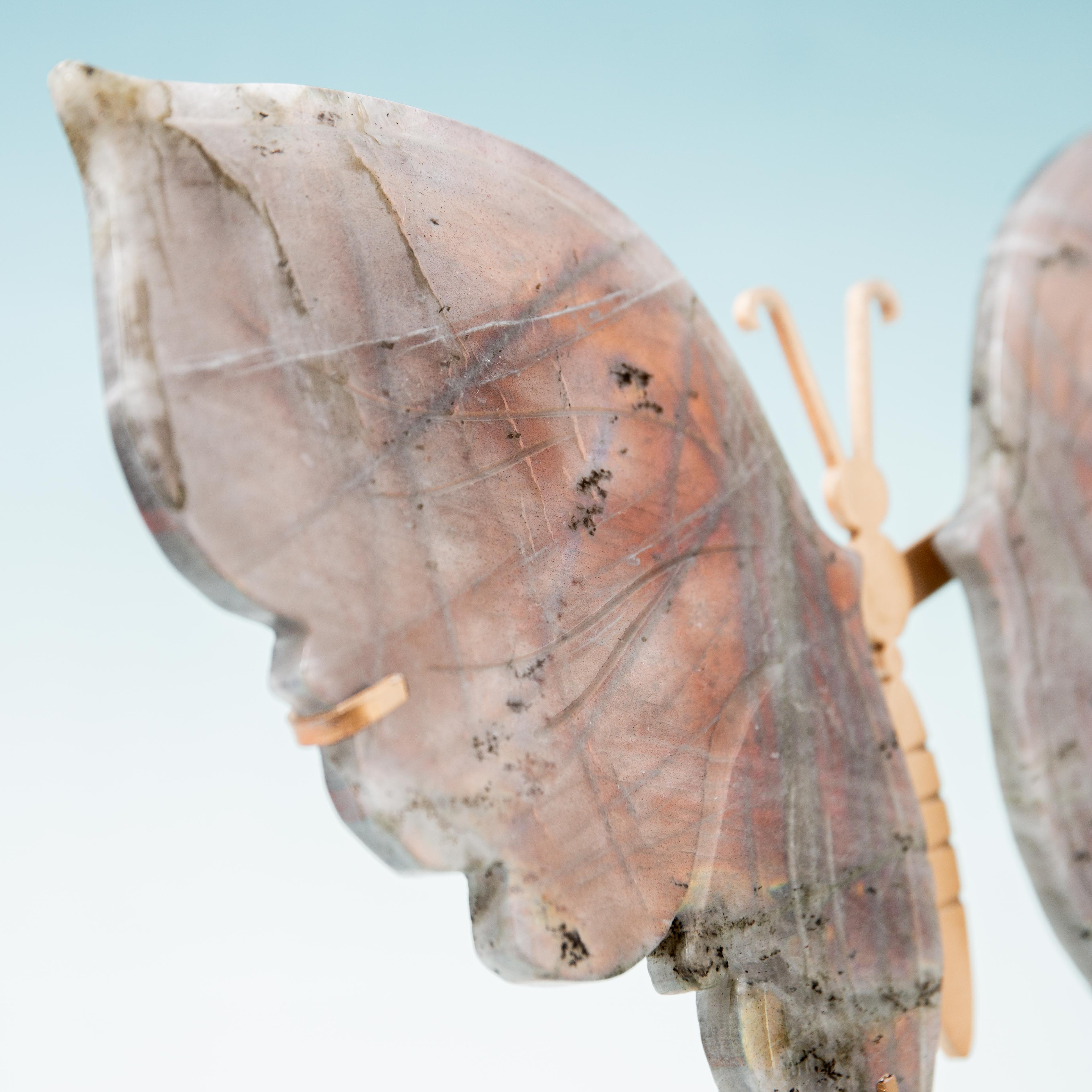 Labradorite Butterfly - 25cm/20cm/583g