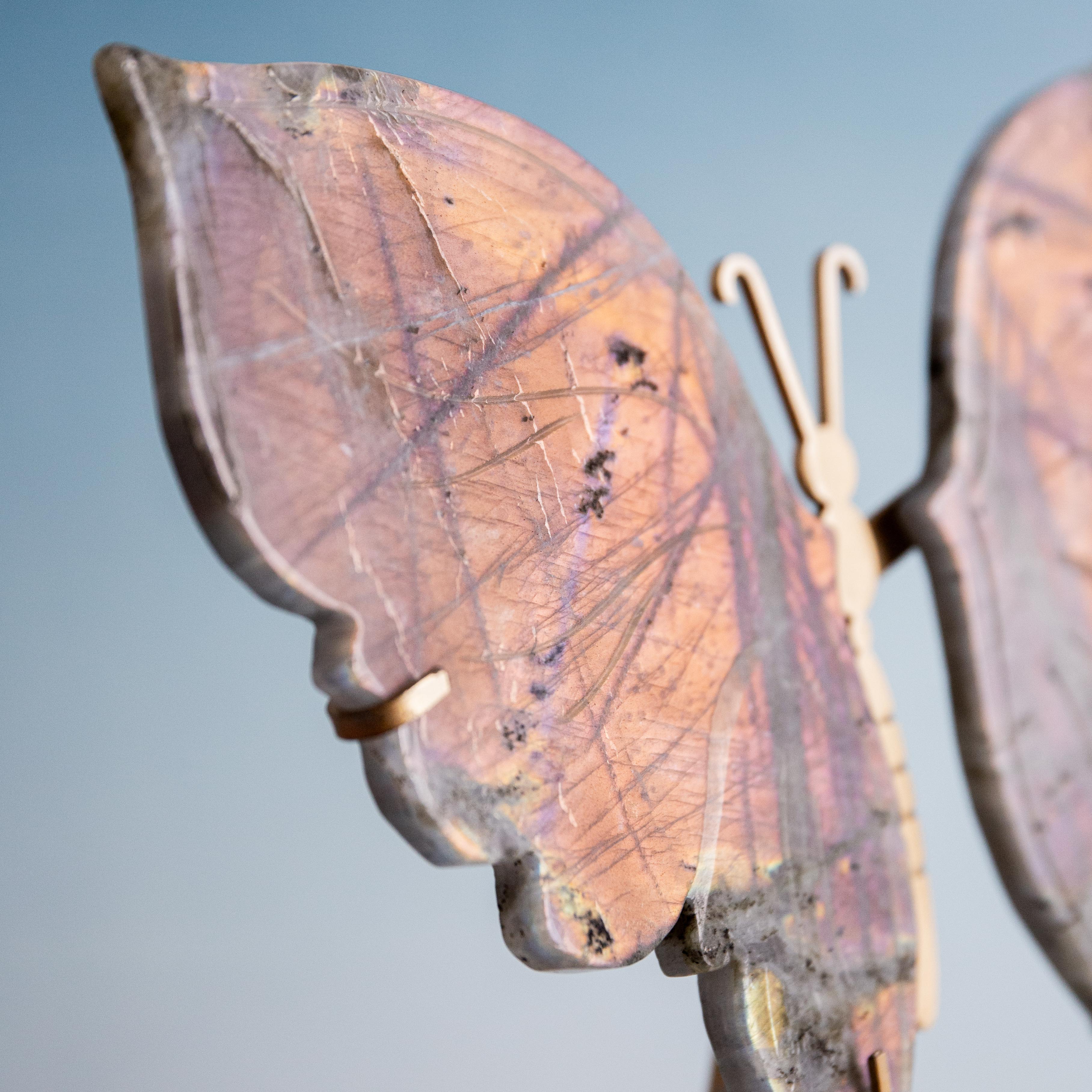 Labradorite Butterfly - 25cm/20cm/583g