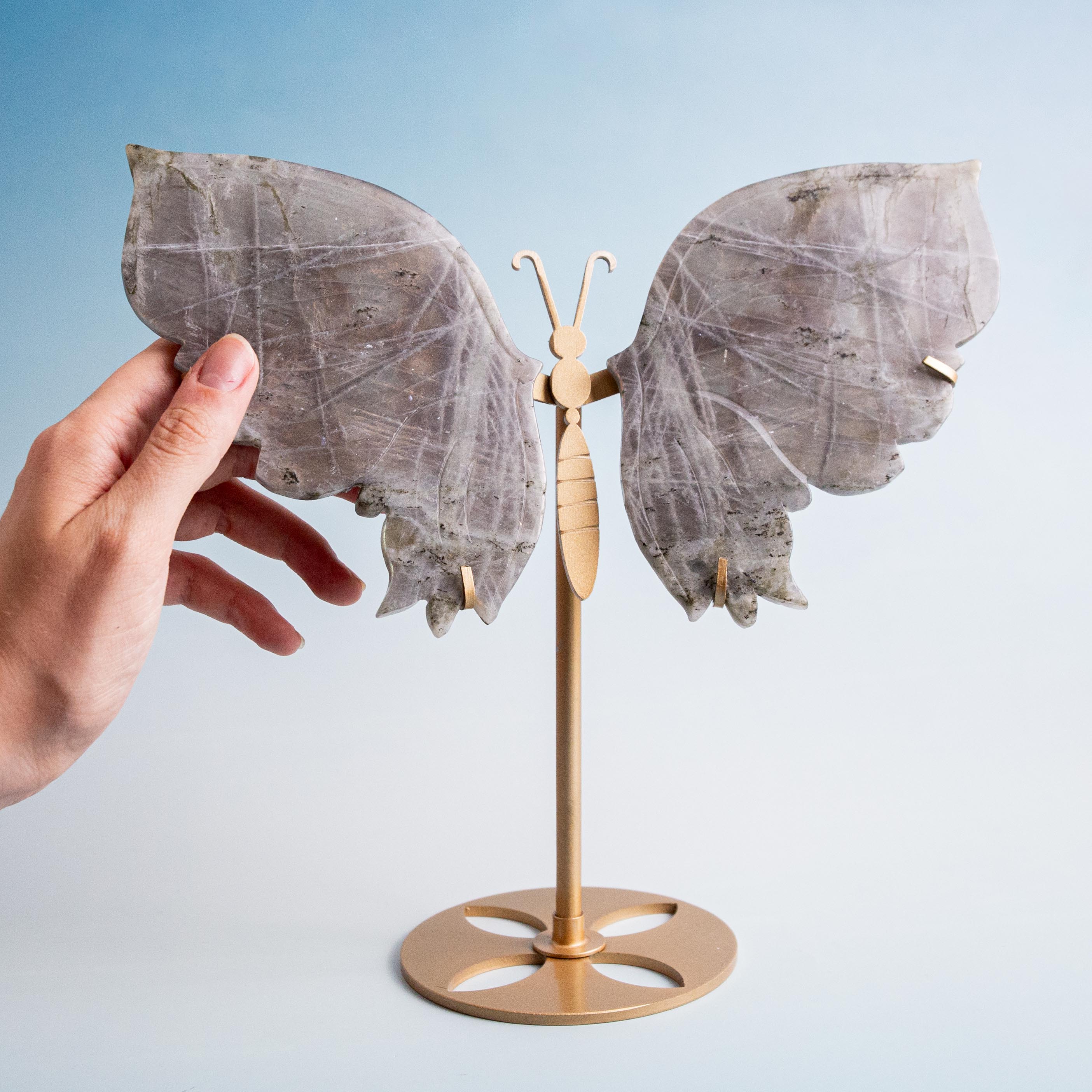 Labradorite Butterfly - 25cm/20cm/583g