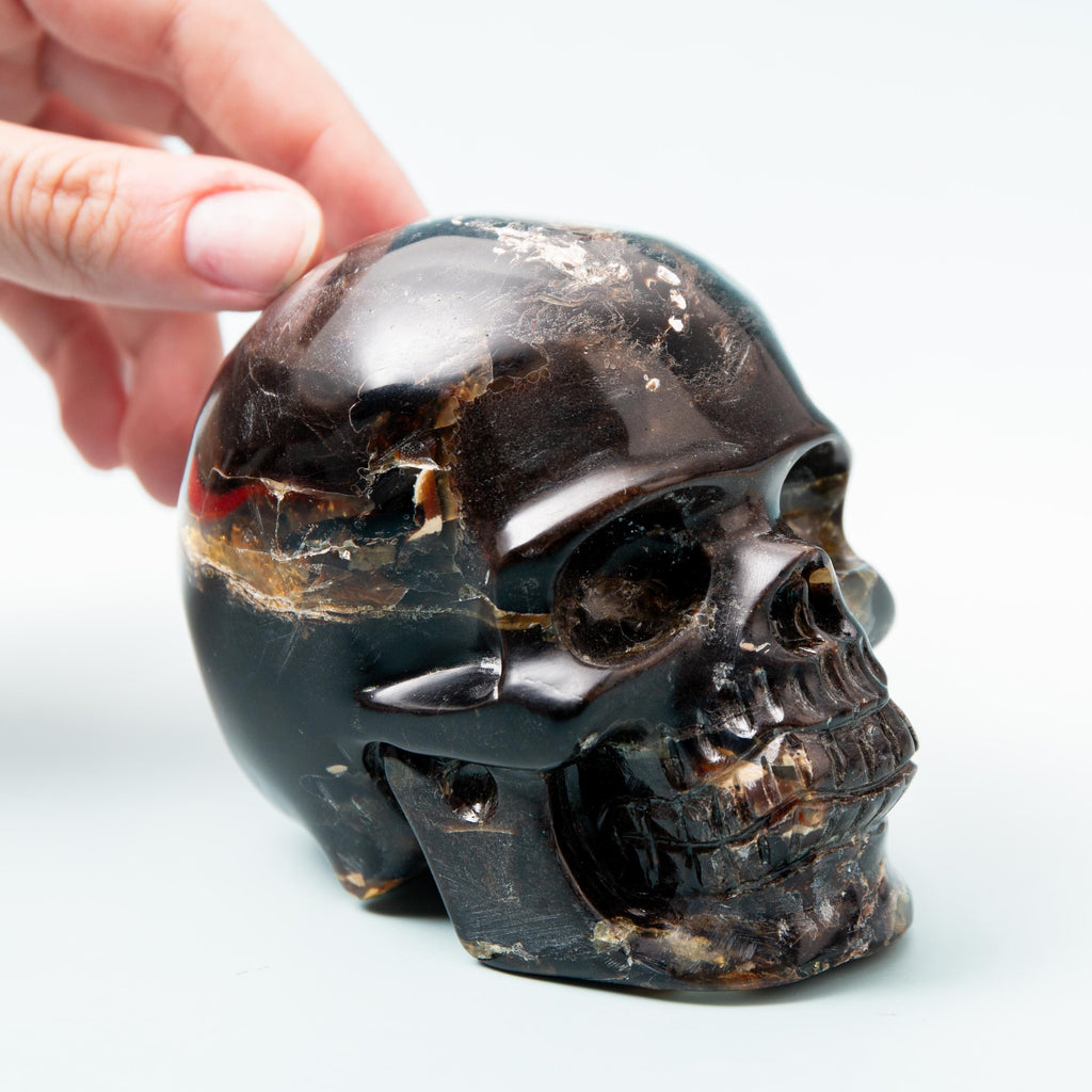 Indonesian Blue Amber Skull - 363g/9cm