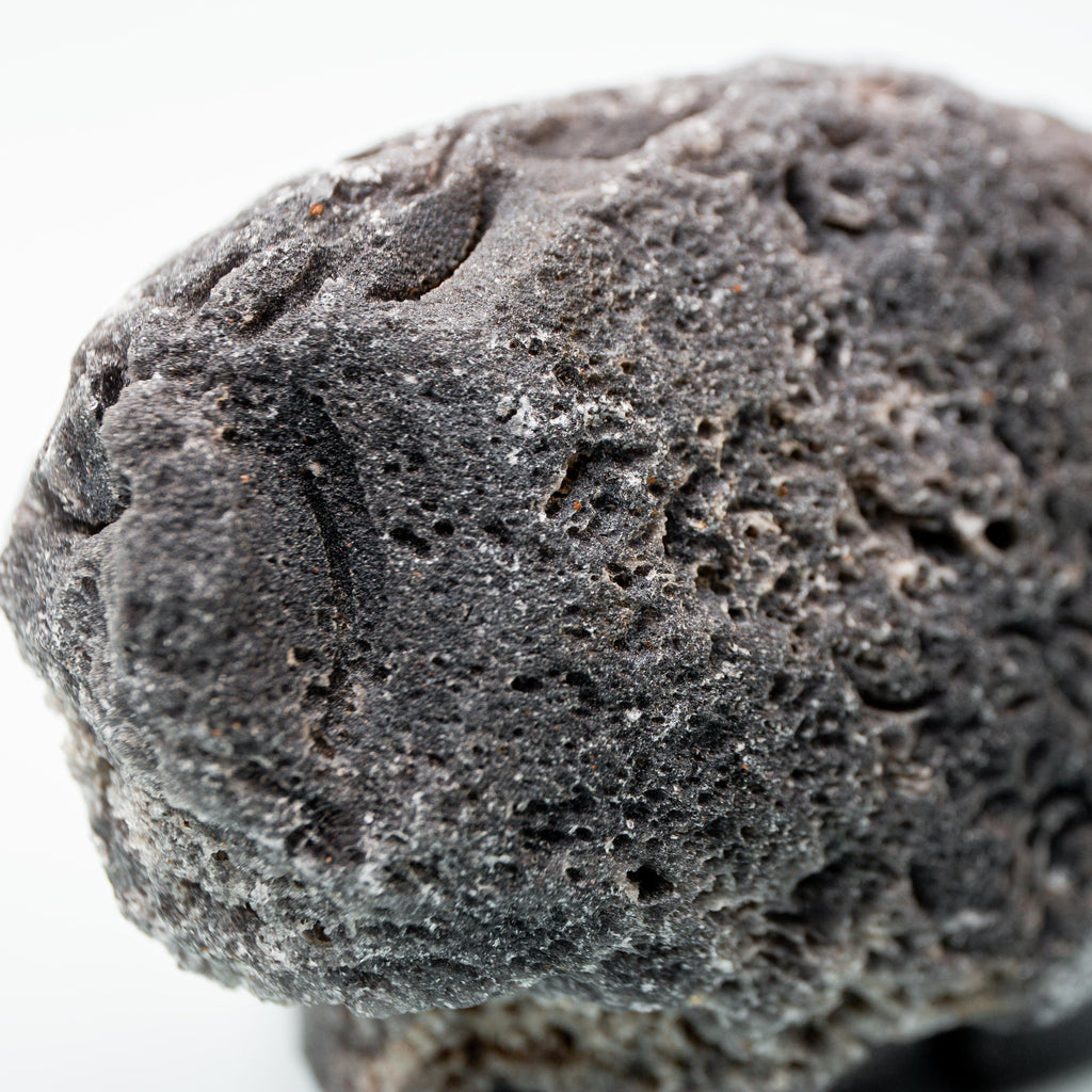 Agni Manitit Koponya - 240g/8cm