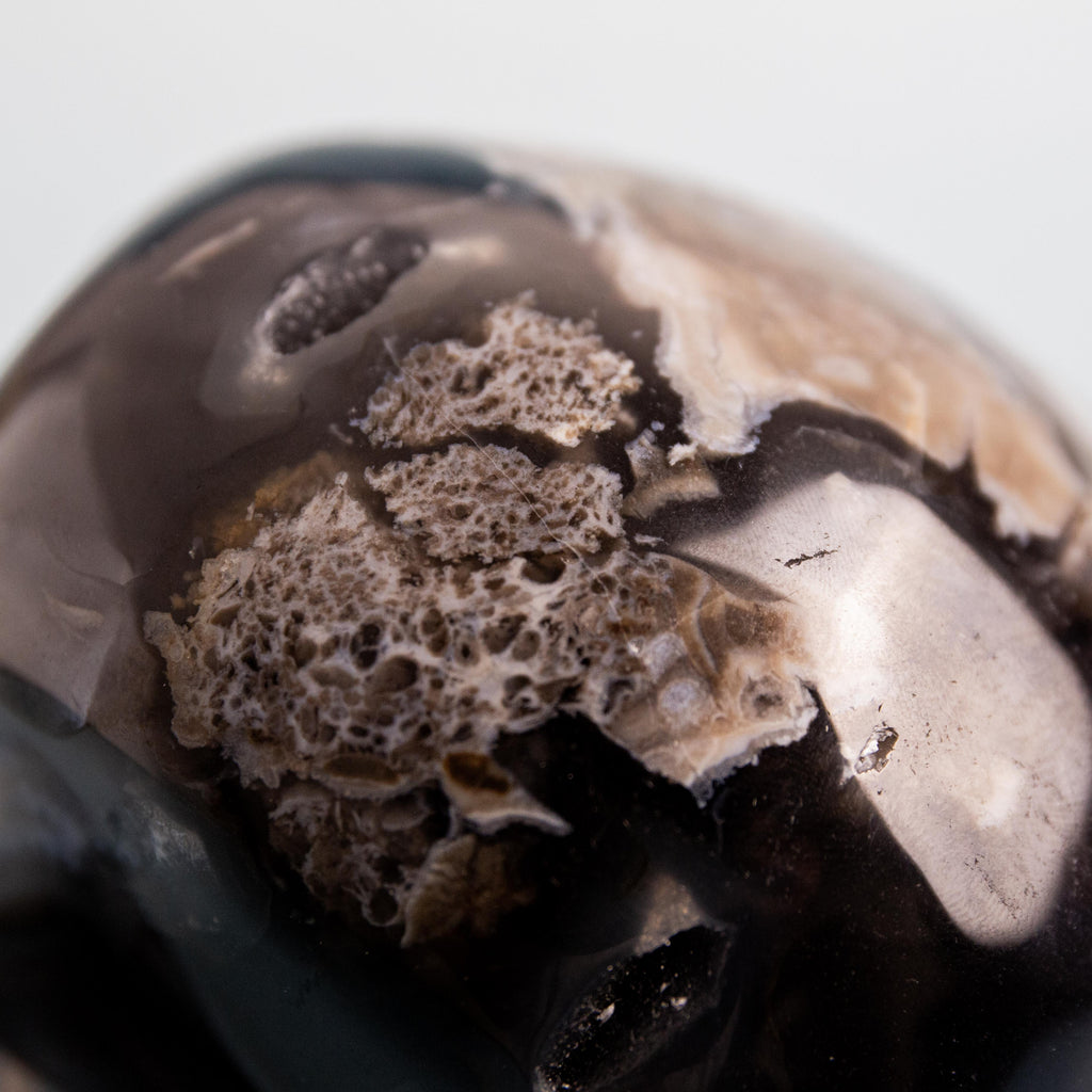 Volcanic Agate Skull - 535g/8cm