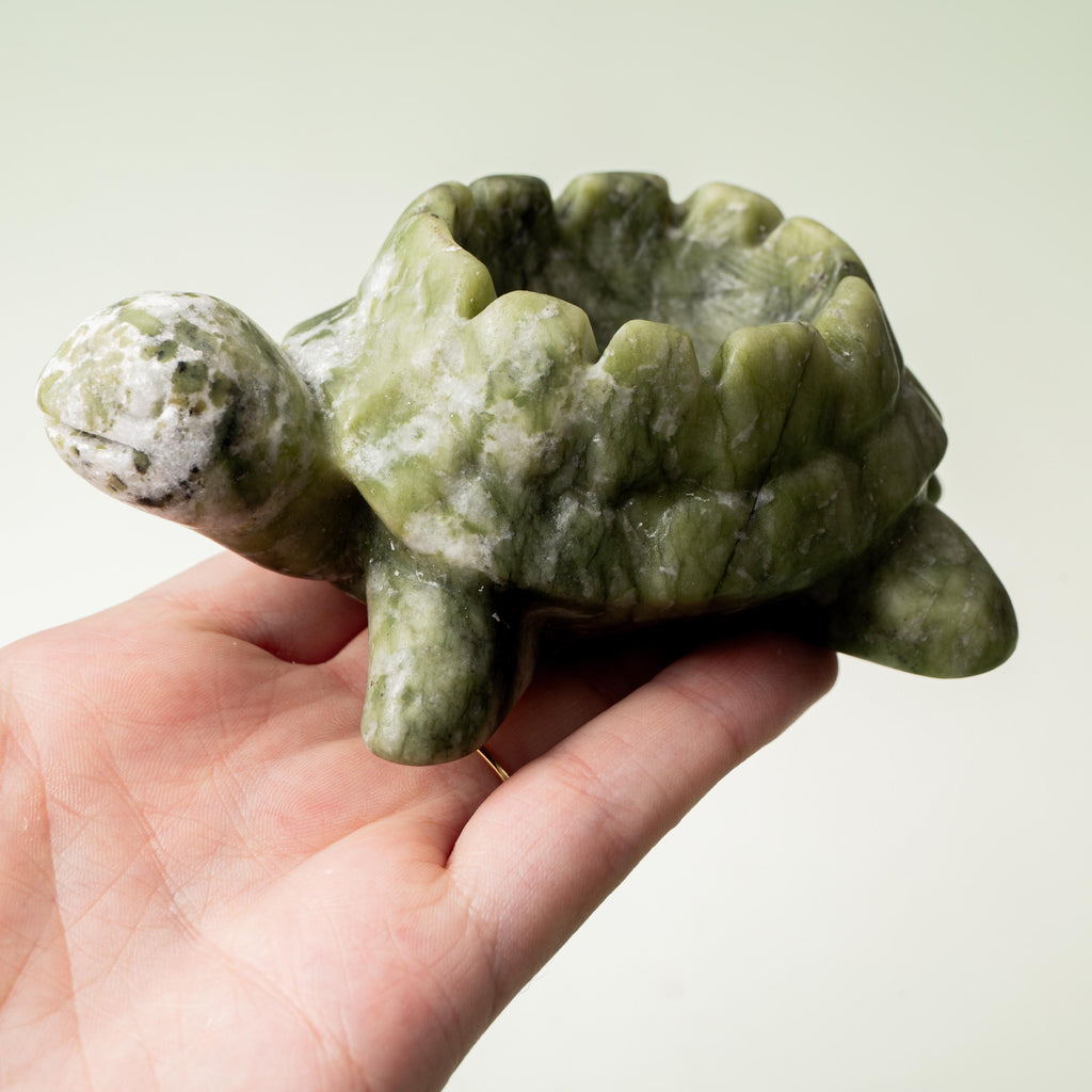 Serpentine Turtle Candle Holder - 308g/10cm (A)
